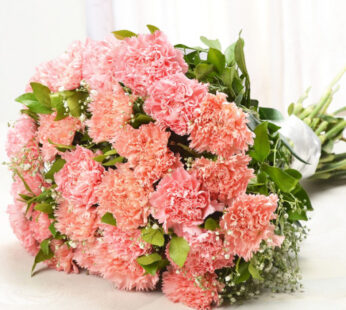 Exquisite Carnations