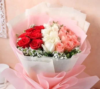 Red White And Pink Roses