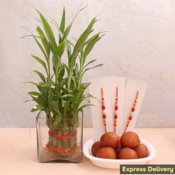 Stunning Rakhi gift hamper