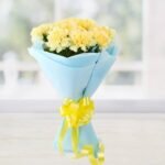 yellow_carnations-234.jpg